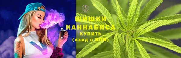 соль ск Арсеньев