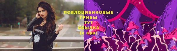 соль ск Арсеньев