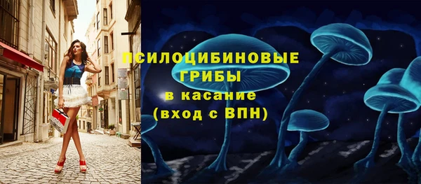 кокс Нея
