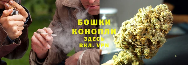 соль ск Арсеньев